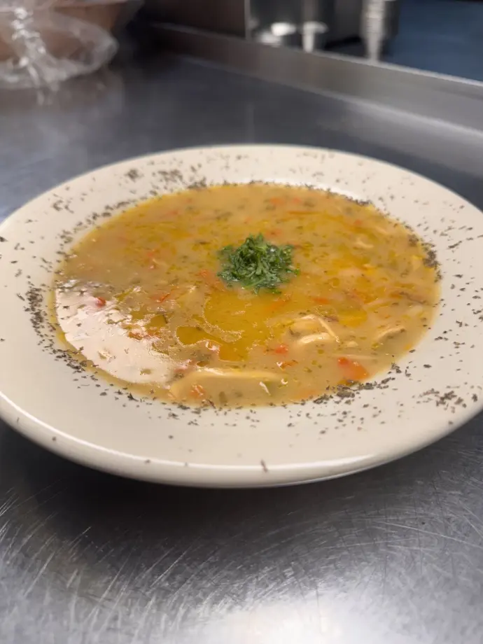Turkish Chicken Soup